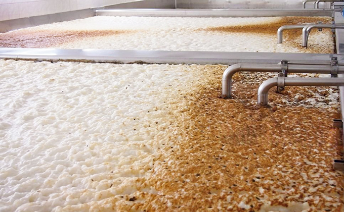 Glass-Fiber-Filter-Cartridges-for-Pre-Filtration-of-Fermentation-Gases