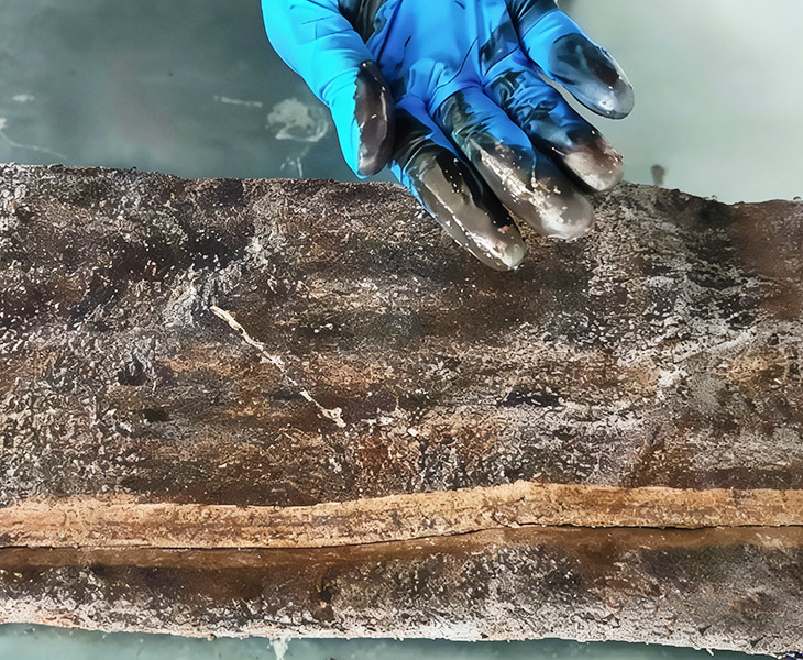 Can PTFE Membrane Filter Bags Handle Oil Mist or High-Moisture Flue Gas